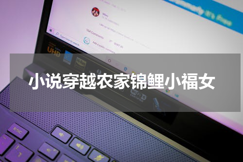 小说穿越农家锦鲤小福女
