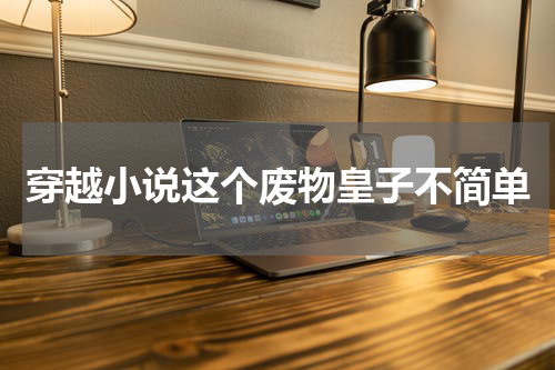 穿越小说这个废物皇子不简单