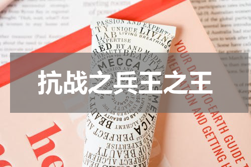 抗战之兵王之王