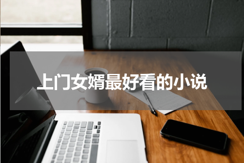 上门女婿最好看的小说