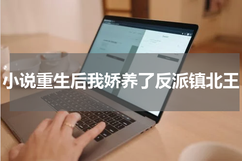 小说重生后我娇养了反派镇北王