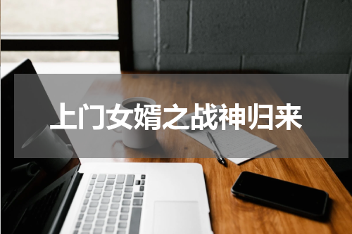 上门女婿之战神归来