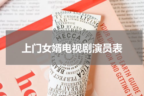 上门女婿电视剧演员表