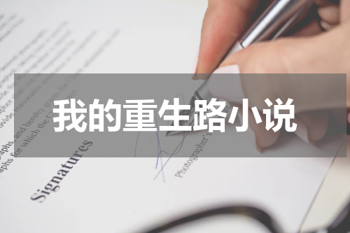 我的重生路小说