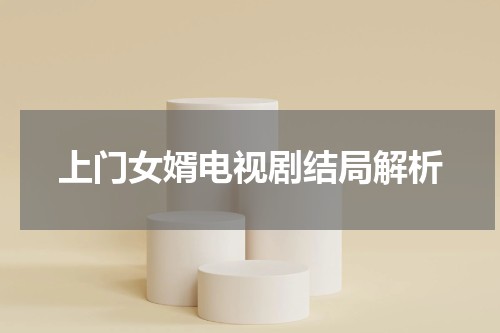 上门女婿电视剧结局解析