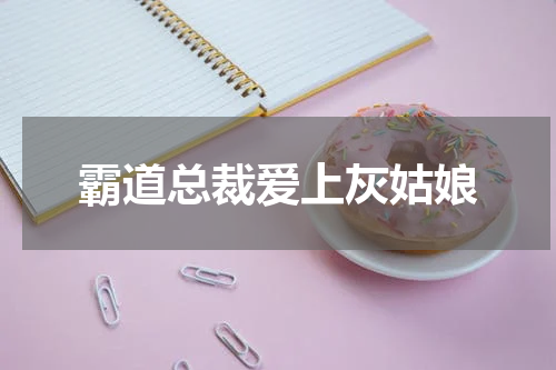 霸道总裁爱上灰姑娘