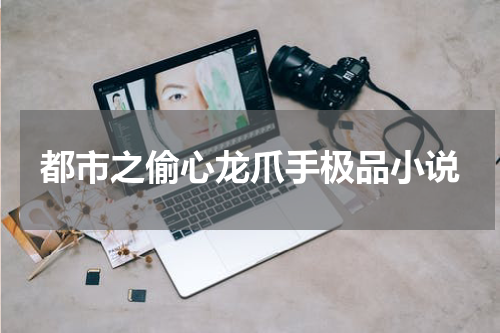 都市之偷心龙爪手极品小说