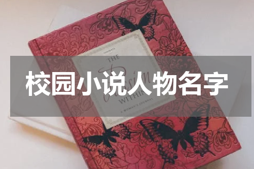 校园小说人物名字