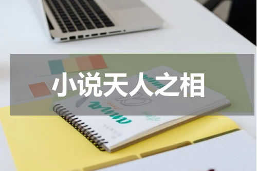 小说天人之相