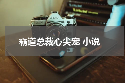 霸道总裁心尖宠 小说