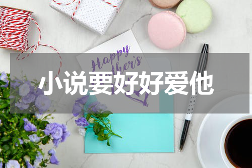 小说要好好爱他
