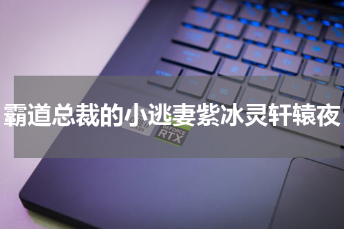 霸道总裁的小逃妻紫冰灵轩辕夜