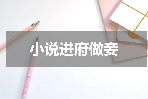 小说进府做妾