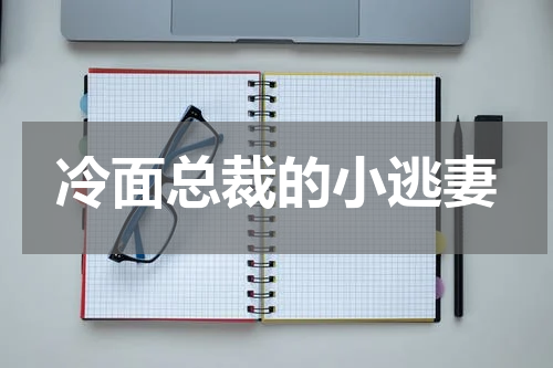 冷面总裁的小逃妻
