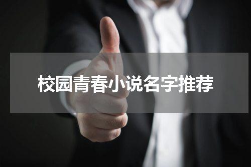校园青春小说名字推荐