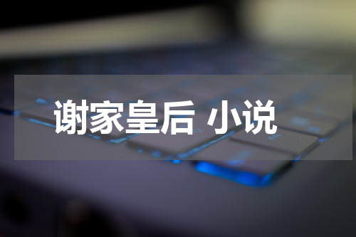 谢家皇后 小说