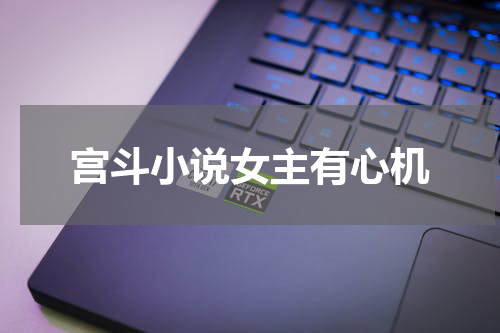 宫斗小说女主有心机