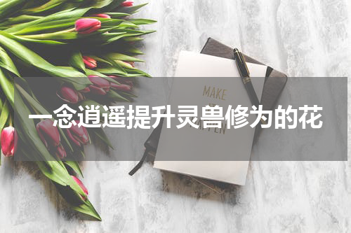 一念逍遥提升灵兽修为的花