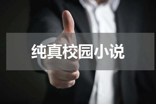 纯真校园小说