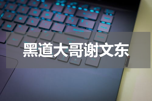 黑道大哥谢文东
