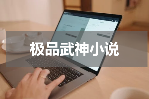 极品武神小说