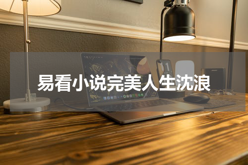 易看小说完美人生沈浪