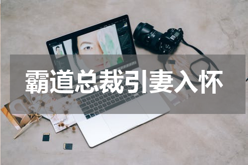 霸道总裁引妻入怀