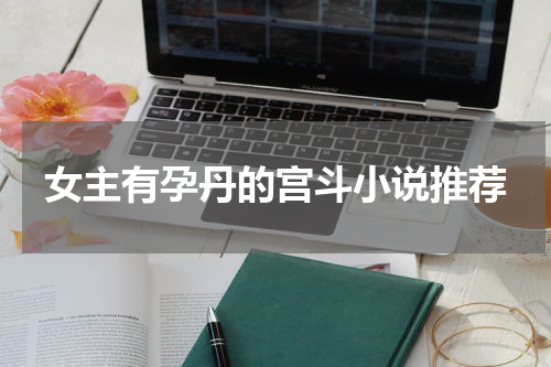 女主有孕丹的宫斗小说推荐
