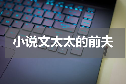 小说文太太的前夫