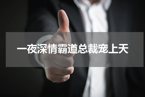 一夜深情霸道总裁宠上天