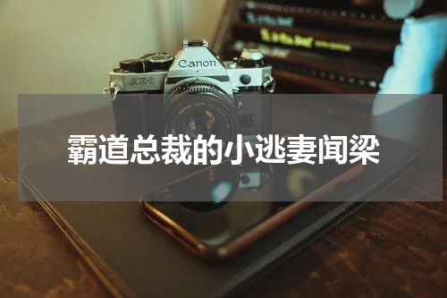 霸道总裁的小逃妻闻梁