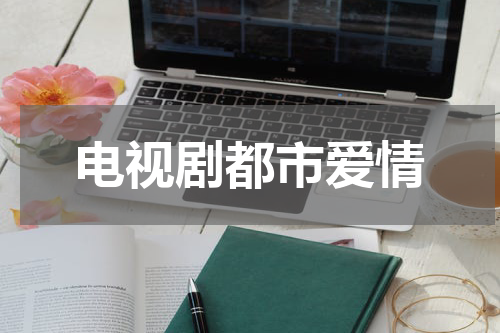 电视剧都市爱情