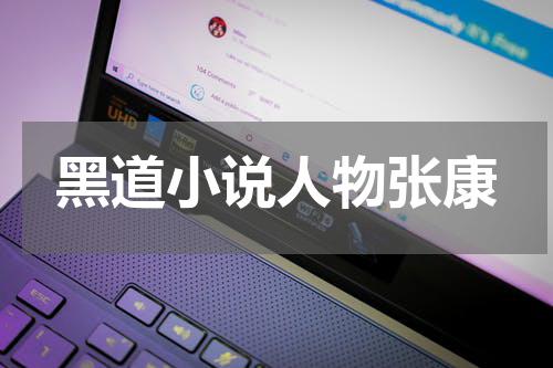 黑道小说人物张康
