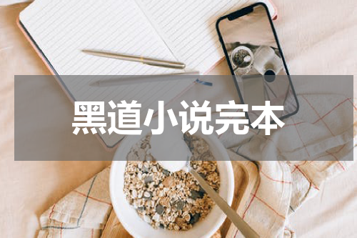 黑道小说完本