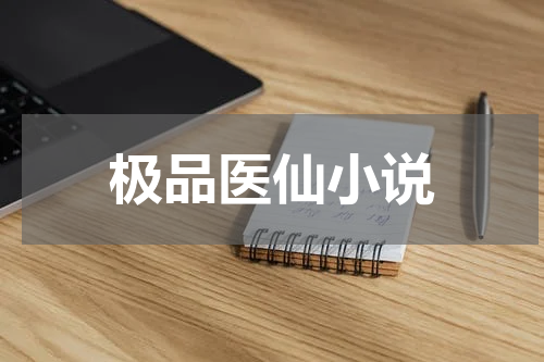 极品医仙小说