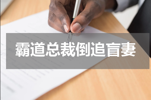 霸道总裁倒追盲妻