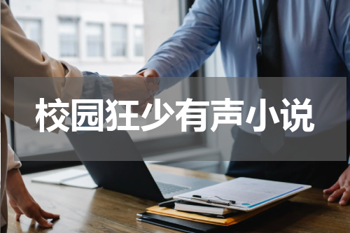 校园狂少有声小说