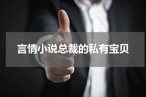 言情小说总裁的私有宝贝