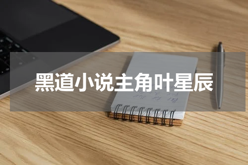 黑道小说主角叶星辰