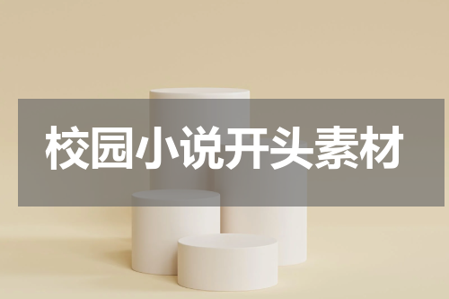 校园小说开头素材