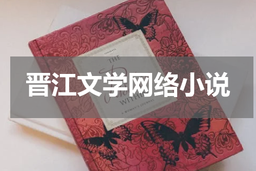 晋江文学网络小说
