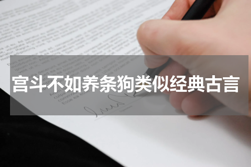 宫斗不如养条狗类似经典古言