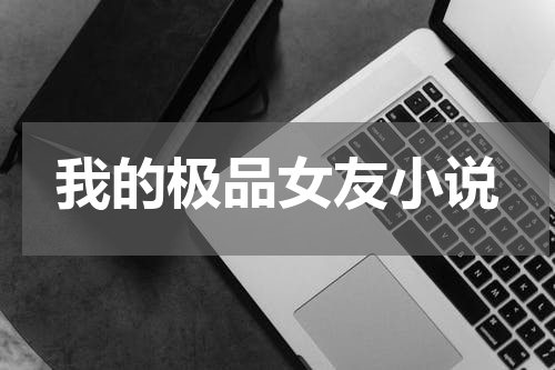 我的极品女友小说