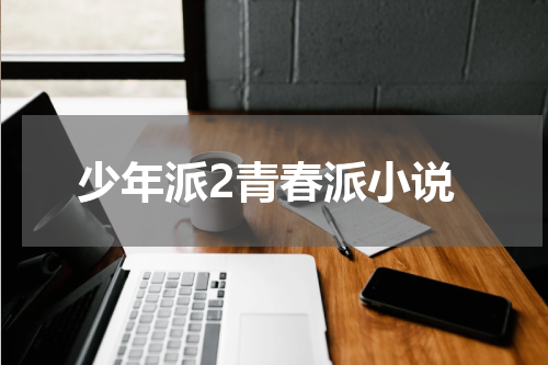 少年派2青春派小说