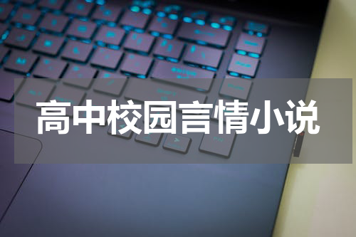 高中校园言情小说