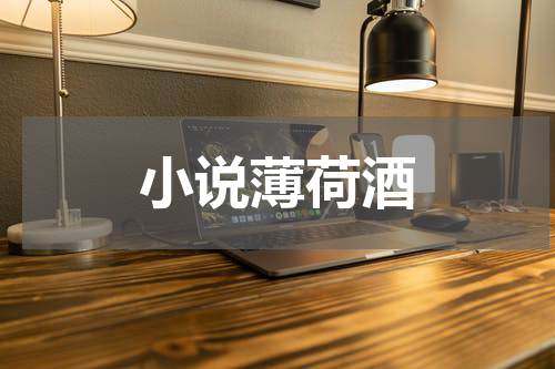 小说薄荷酒
