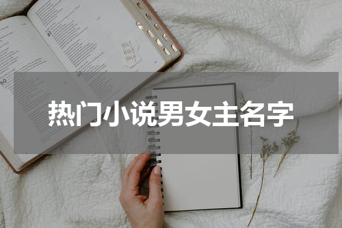 热门小说男女主名字