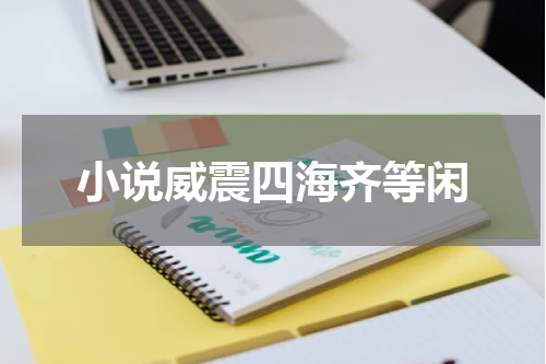 小说威震四海齐等闲