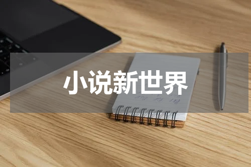 小说新世界