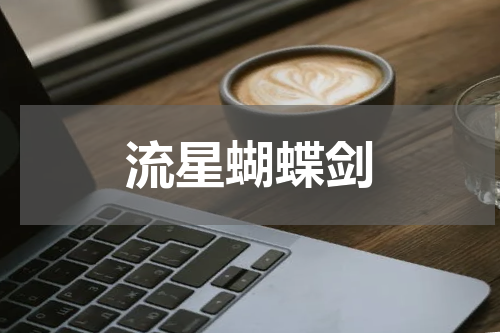 流星蝴蝶剑